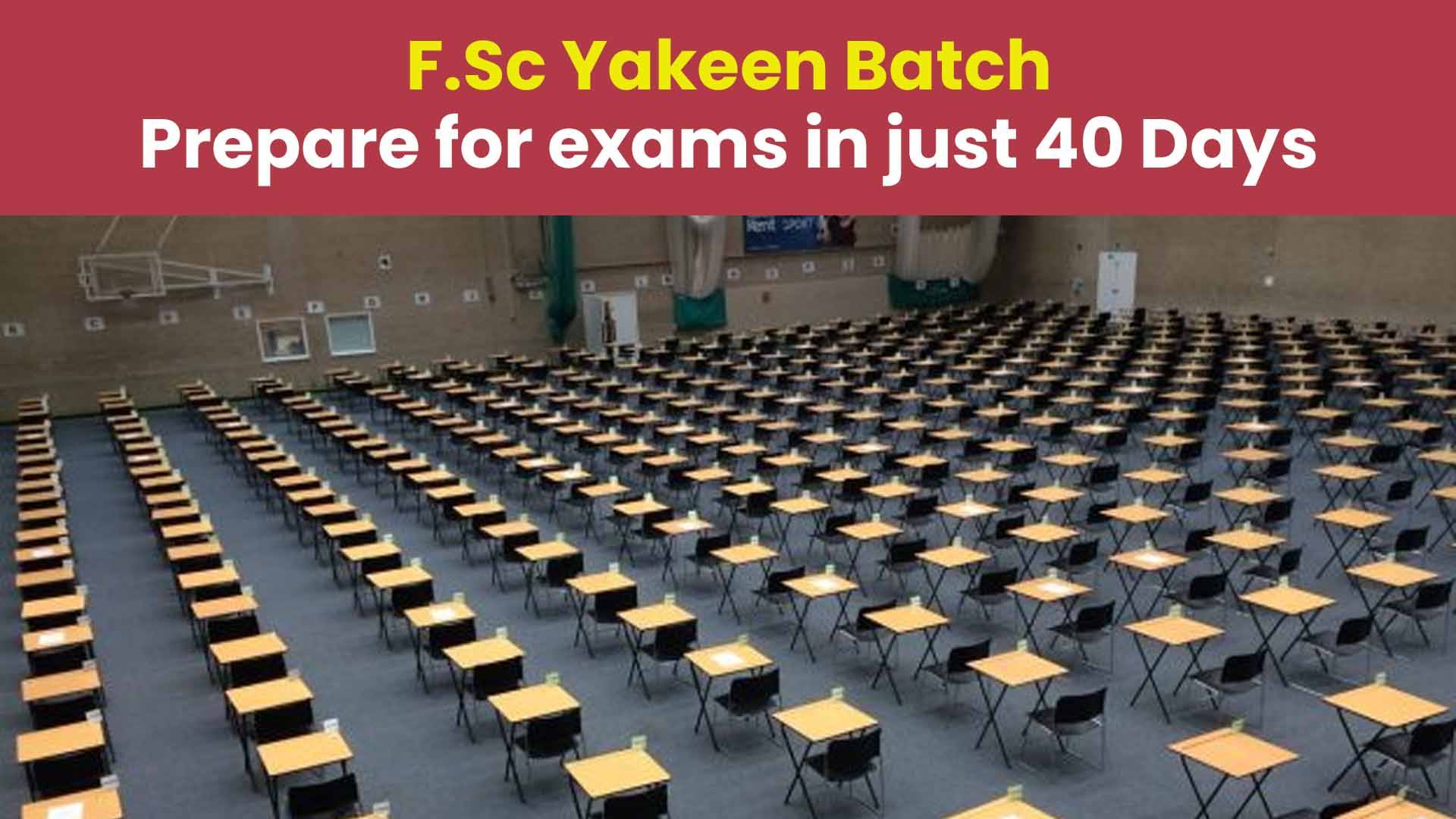 Nearpeer | Pakistan’s Most Trusted Online Education Platform